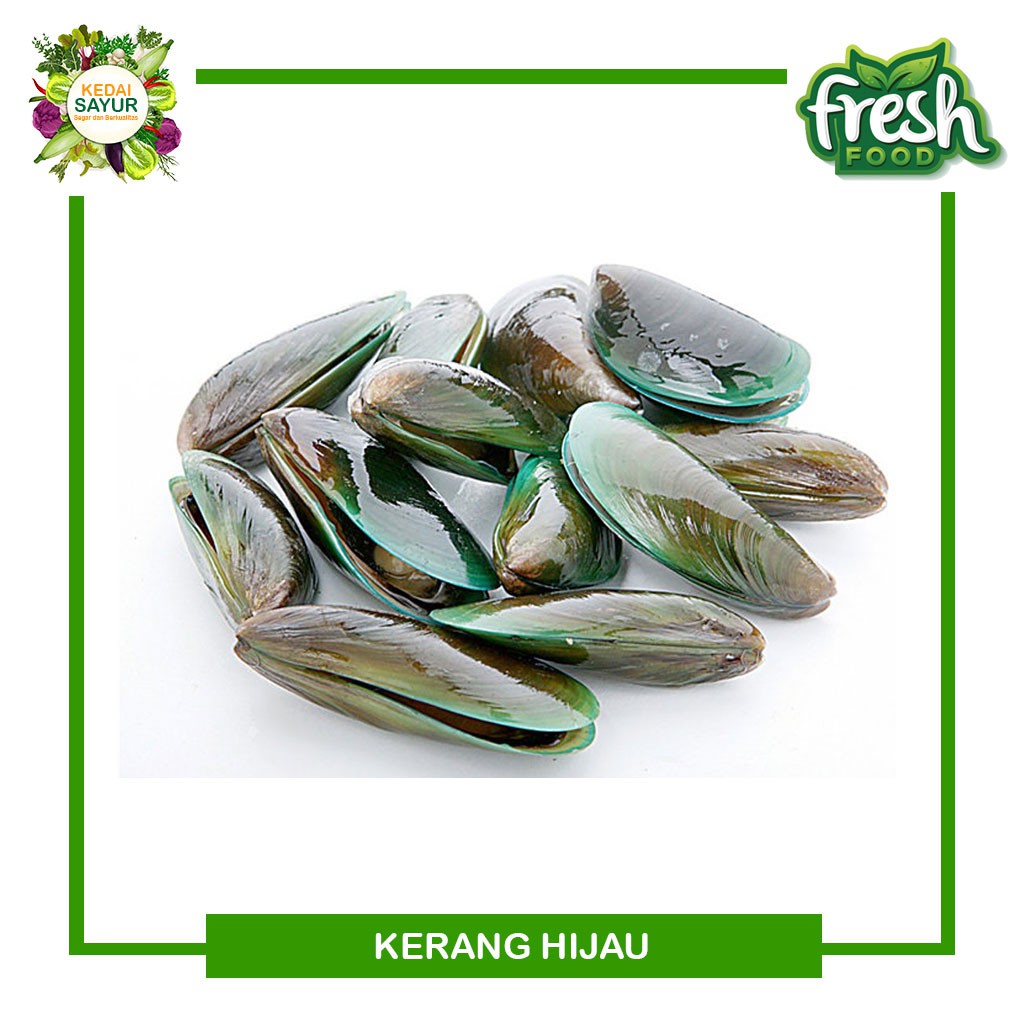 

Kerang Hijau 500 Gram - Gerai Sayur Hasil Laut Segar Depok