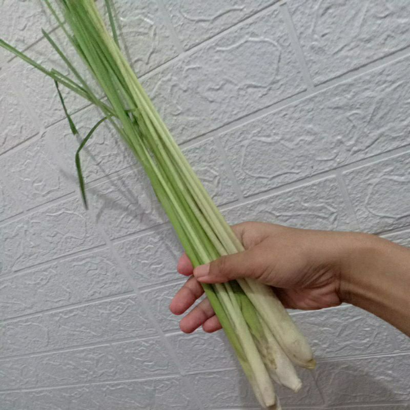 

Daun / Batang Sereh Segar Organik