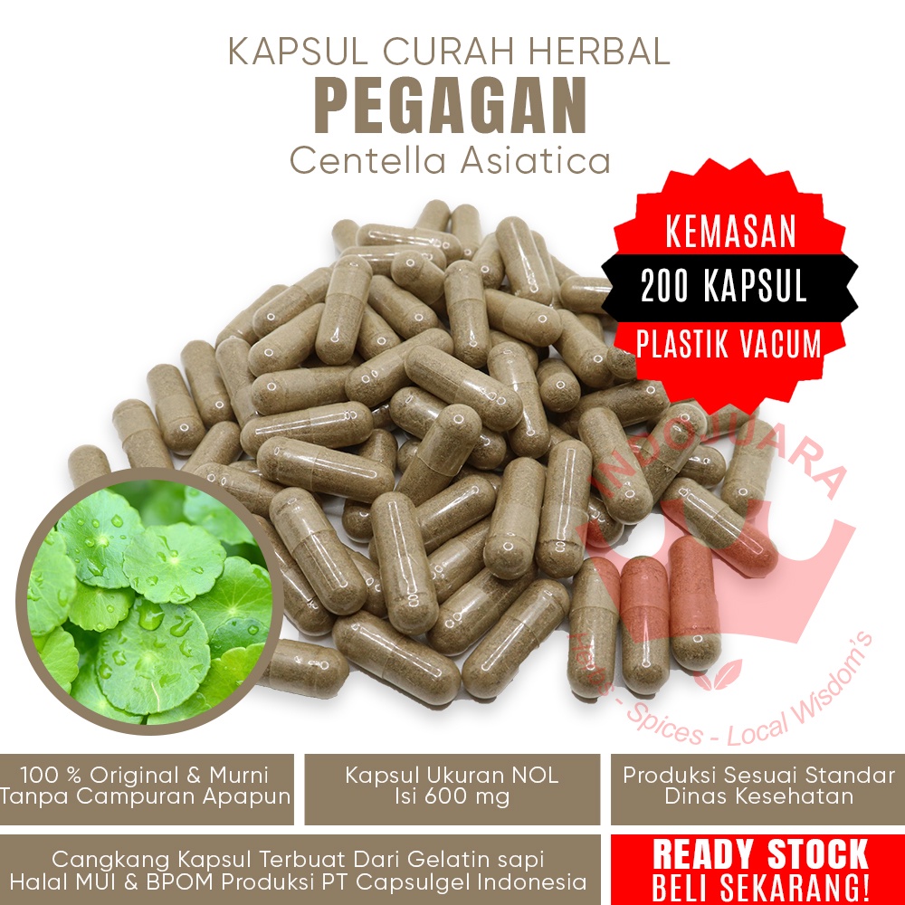 200 Kapsul PEGAGAN Antanan Kapsul Herbal Penambah Daya Ingat Lemah Mental Anak