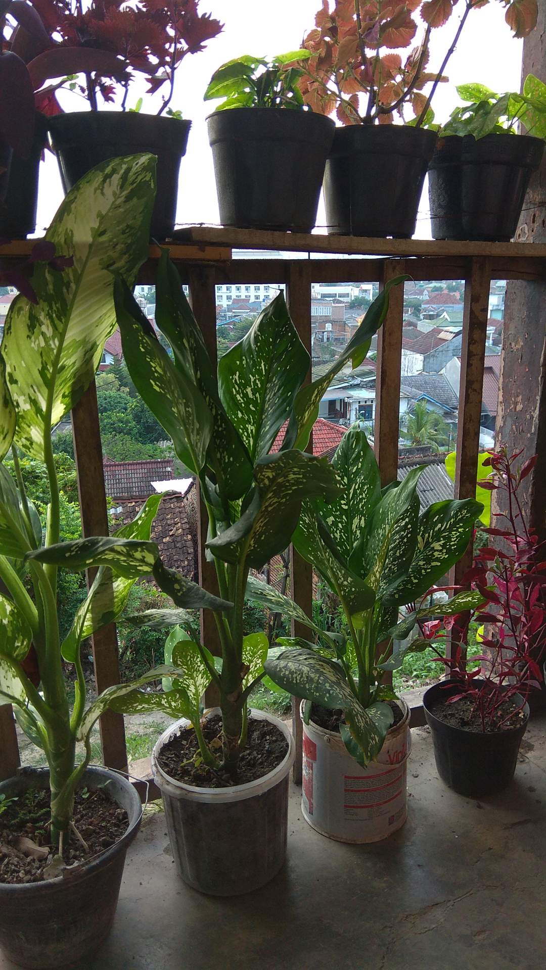 Celana Sarung Batik Anak Abata-tsa Termurah