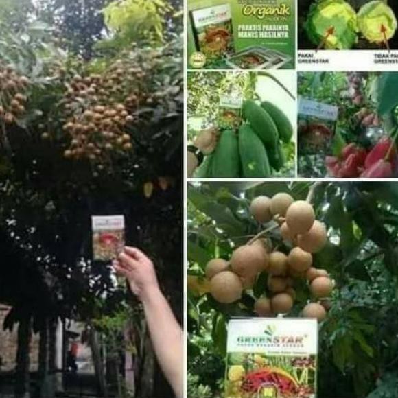 

『BT』 GREENSTAR (GREES)