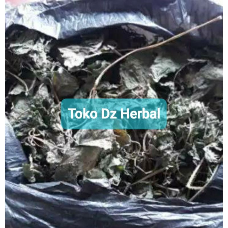 

Sembung rambat kering 100 gram-az