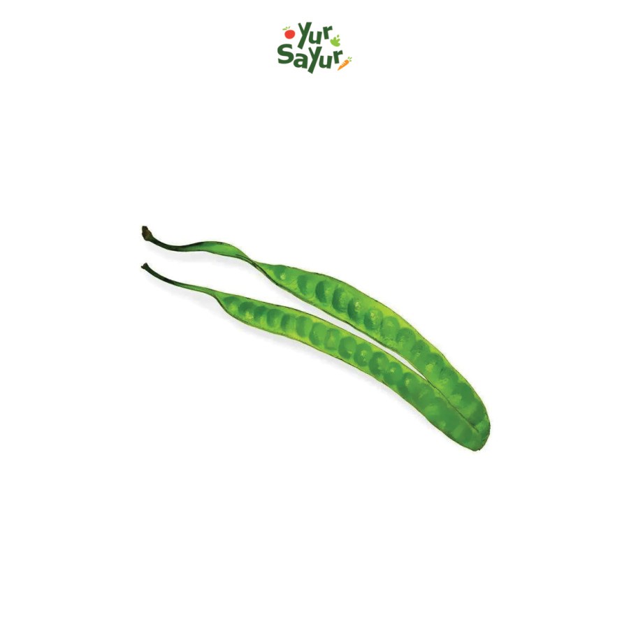 

Pete Fresh || 1 Papan