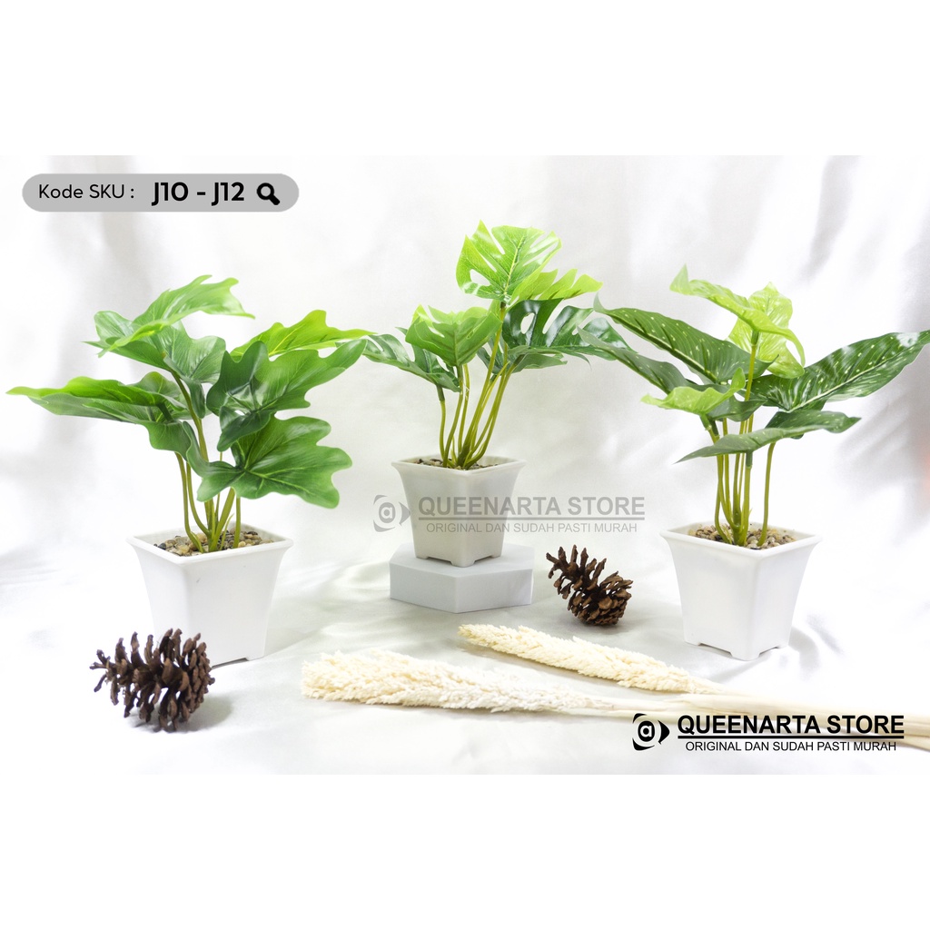 Queenarta Daun Monstera Jenis Tanaman dan Bunga Hias Plastik Pot Plastik Buat Dekorasi Rumah Kado