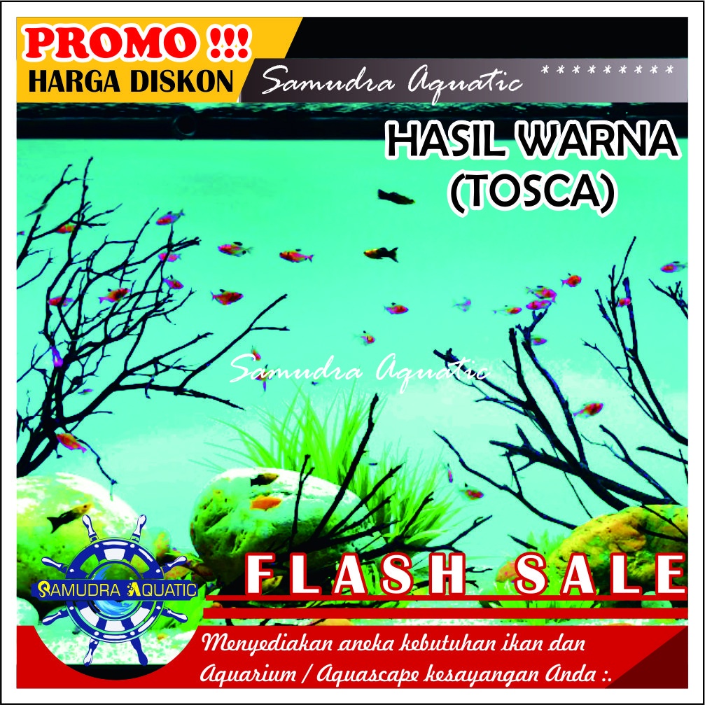 Background Aquarium Aquascape PROMO!, Stiker Skotlet Aquarium Aquascape GRATIS PACKING KARDUS