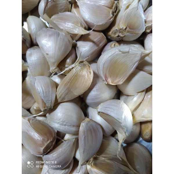 

1 bks bawang putih kating 500 gr
