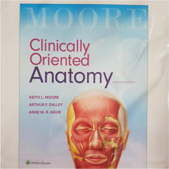 Medical | Original Clinically Oriented Anatomy 8E - Moore