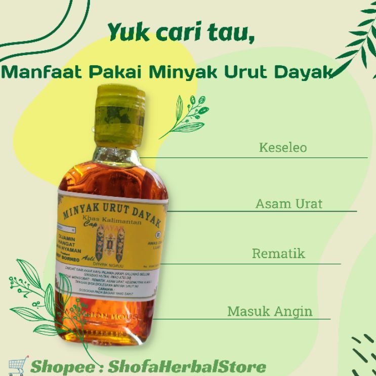 MINYAK URUT DAYAK KHAS KALIMANTAN