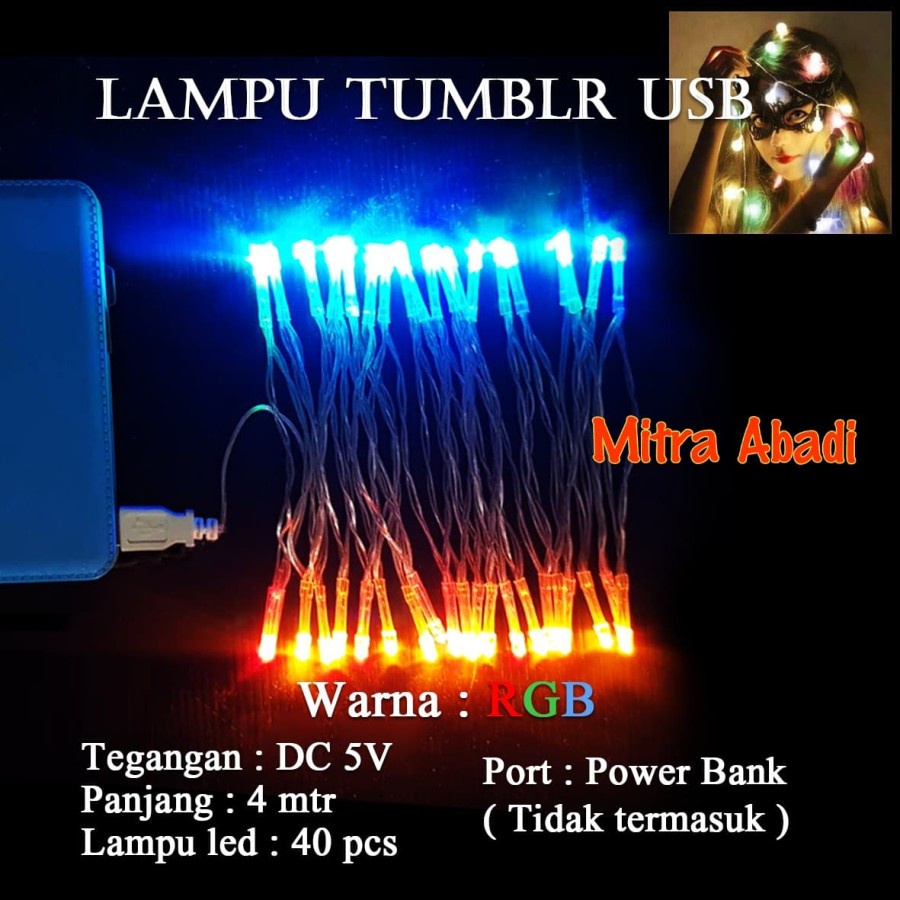 Lampu Natal LED USB DC 5V Panjang 4 Meter