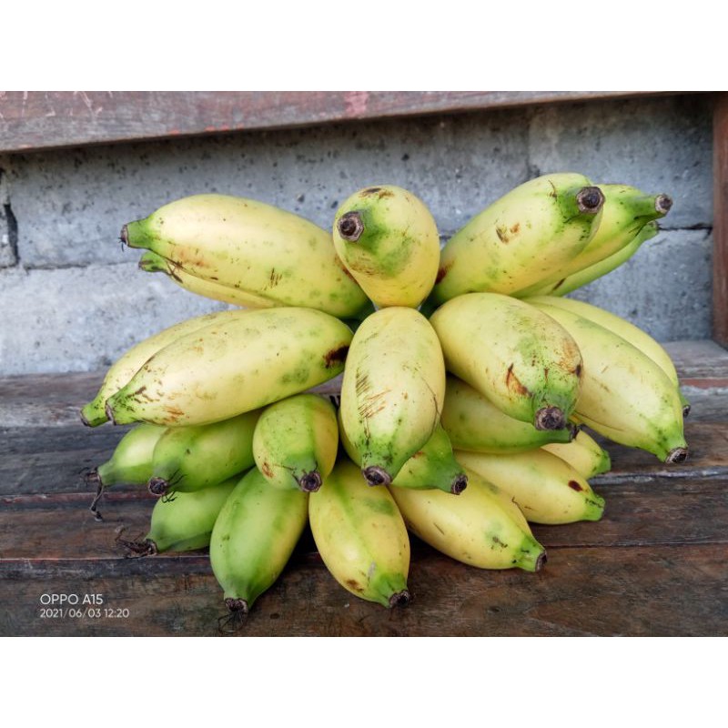 

pisang berlin percengkeh