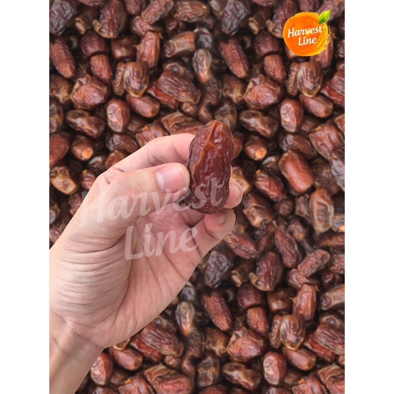 

TEBUS MURAH!! KURMA KORMA GOLDEN VALLEY GOLDEN ORIENT MESIR ORIGINAL ASLI 100gram [HARVEST LINE]