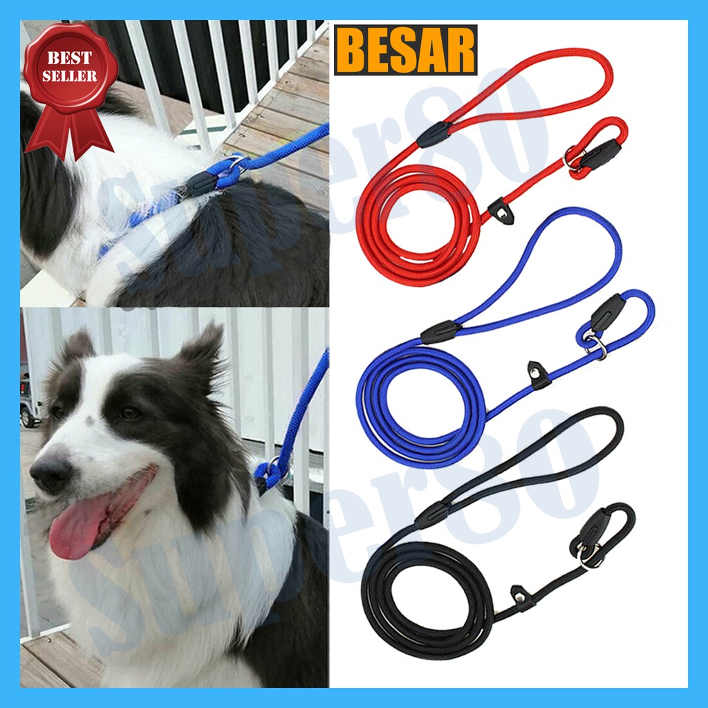 Slip Lead Besar &amp; Kecil Cesar Millan Tali Tuntun Nylon Nilon Anjing Kucing Dog Cat Leash Sliplead