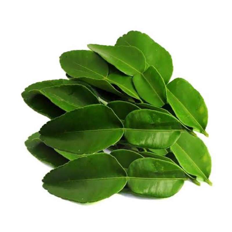 

REMPAH SEGAR PILIHAN DAUN JERUK SUPER SEGAR DAN BERKUALITAS