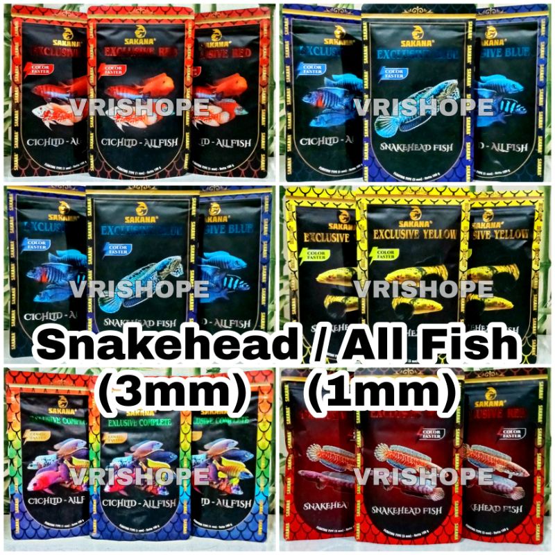 Sakana Exclusive Complete Blue Red Yellow Snakehead Fish Cichlid All Fish Pelet Ikan Channa