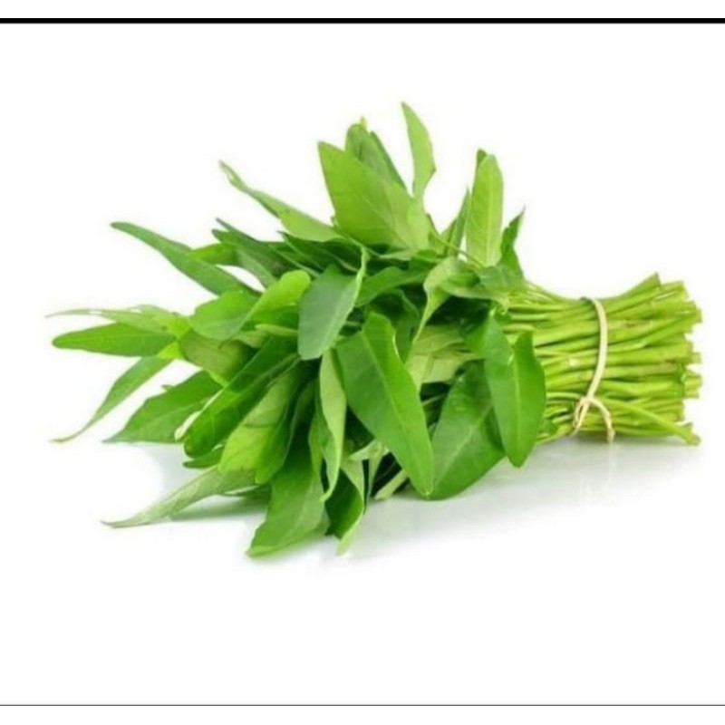 

kangkung per ikat
