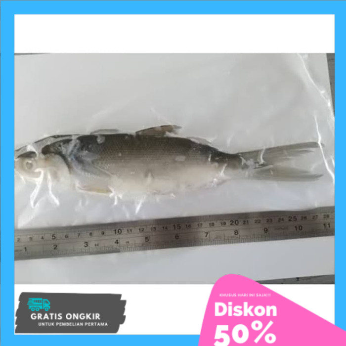 

Bandeng Frozen Tanpa Duri 100-200gr