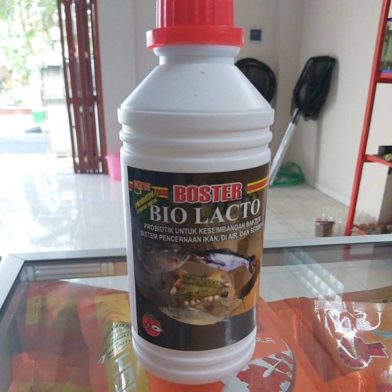 BOSTER BIO LACTO | PROBIOTIK PENCERNAAN IKAN