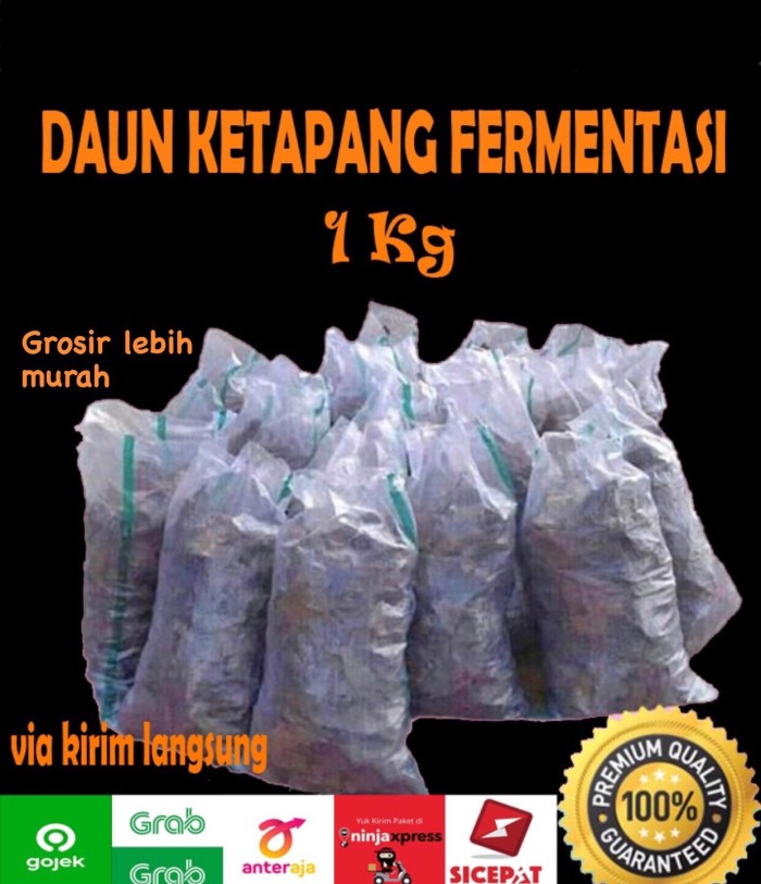 

promo Daun Ketapang Laut 1Kg