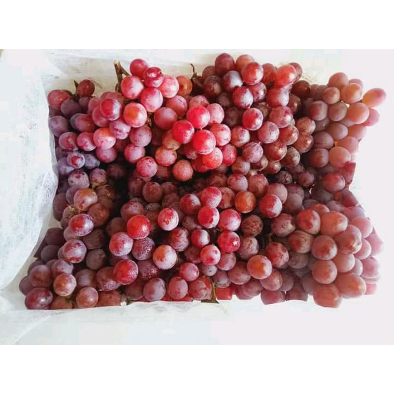 

anggur red globe