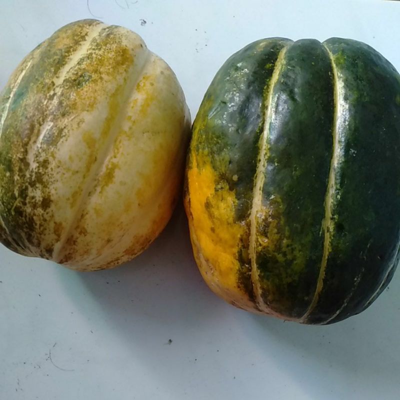

Buah Blewah segar