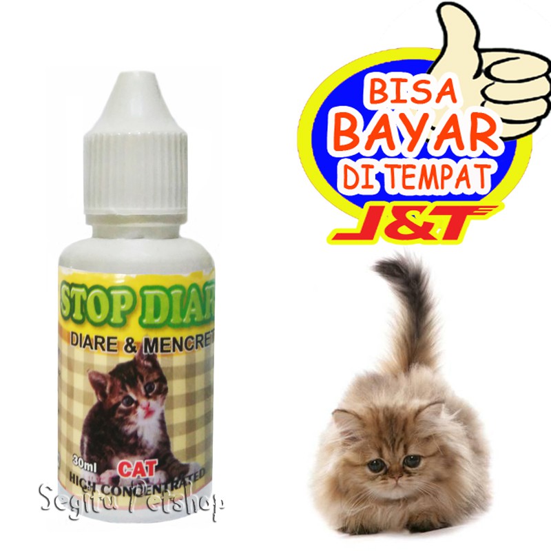 OBAT MENCRET KUCING DIARE KITTEN STOP DIAR