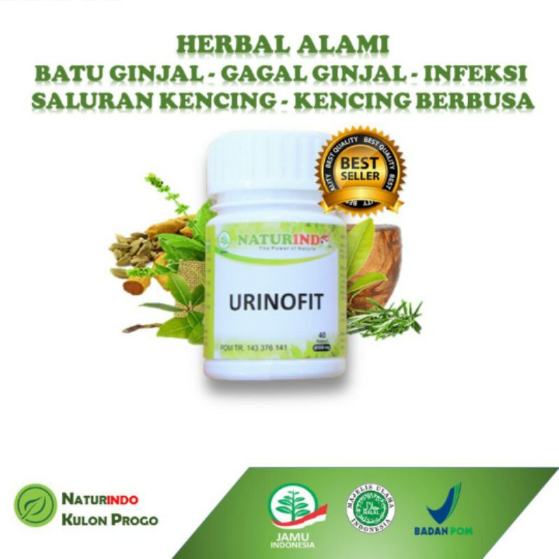 

obat herbal gagal ginjal radang ginjal nyeri pinggang batu ginjal urinofit naturindo