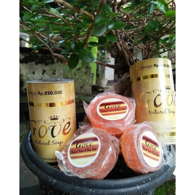 Sabun Gove Multifungsi Kemasan Baru Original