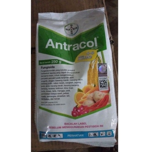Antracol 70wp (250gram)