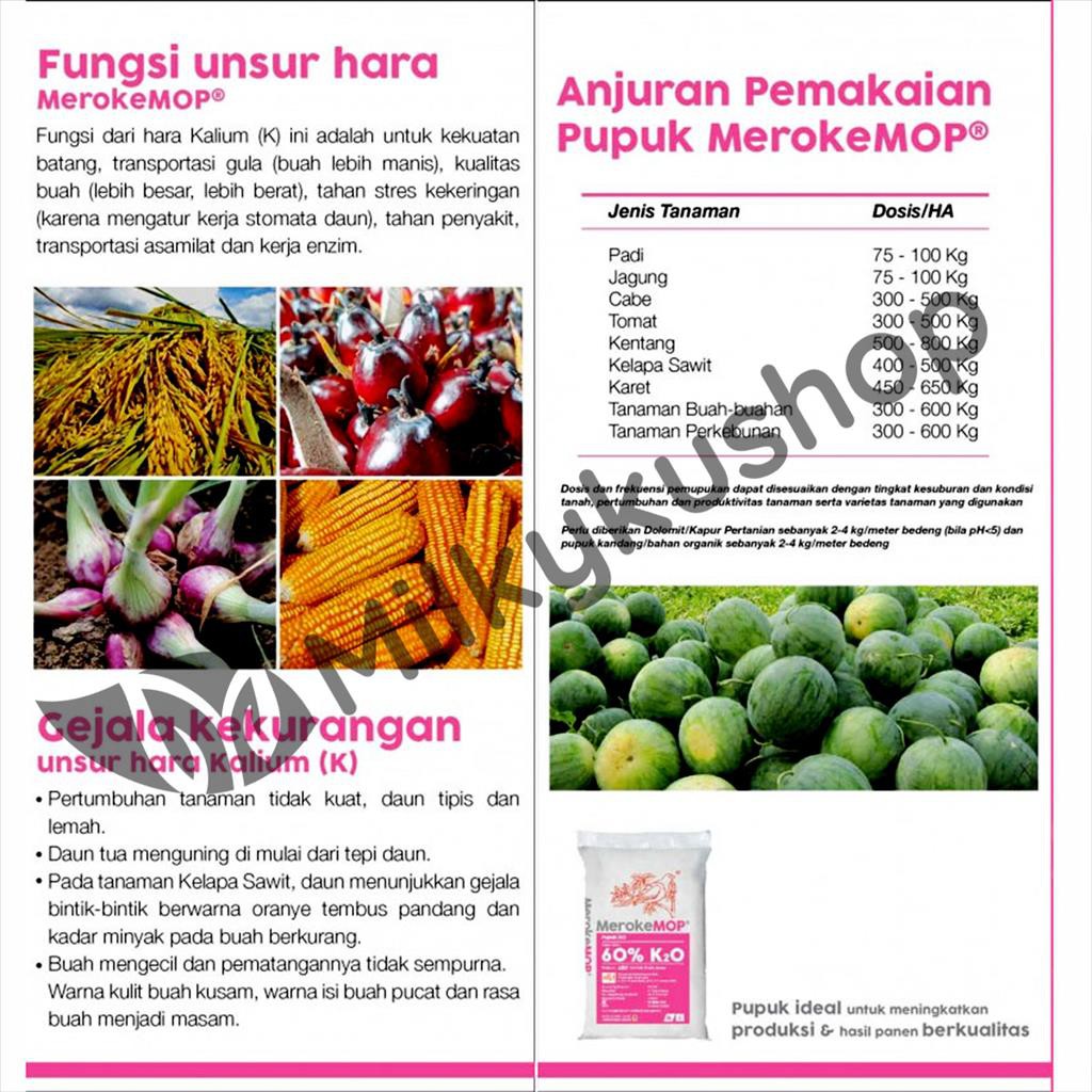 PUPUK MEROKE MOP KCL 50 KG KEMASAN PABRIK VIA GOSEND GRAB