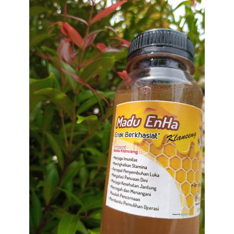 

MADU KLANCENG ASLI LEBAH TRIGONA