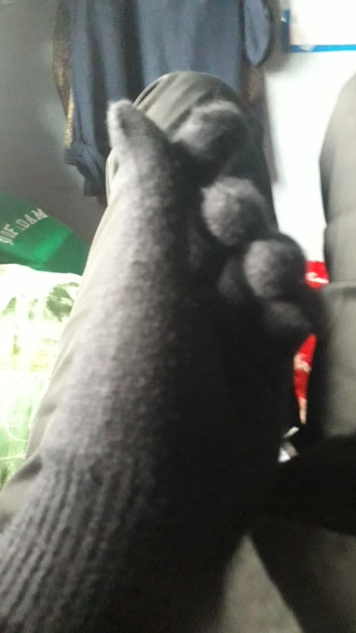 Display Tempat Cincin Bludru Tutup Mika Merah Dan Hitam Pajangan Perhiasan Koleksi Akik Harga Murah