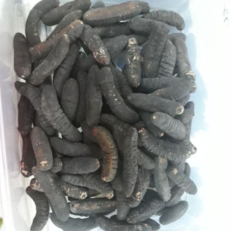 

Haisom Gosok 35 (100Gram)
