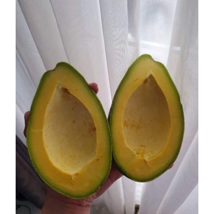 

Buah Alpukat Mentega Super 1 Kg