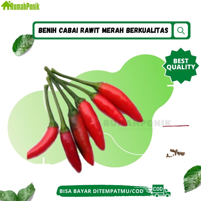 Benih Buah Cabe Rawit Bara / Benih Cabe Rawit / Bibit Cabe Rawit