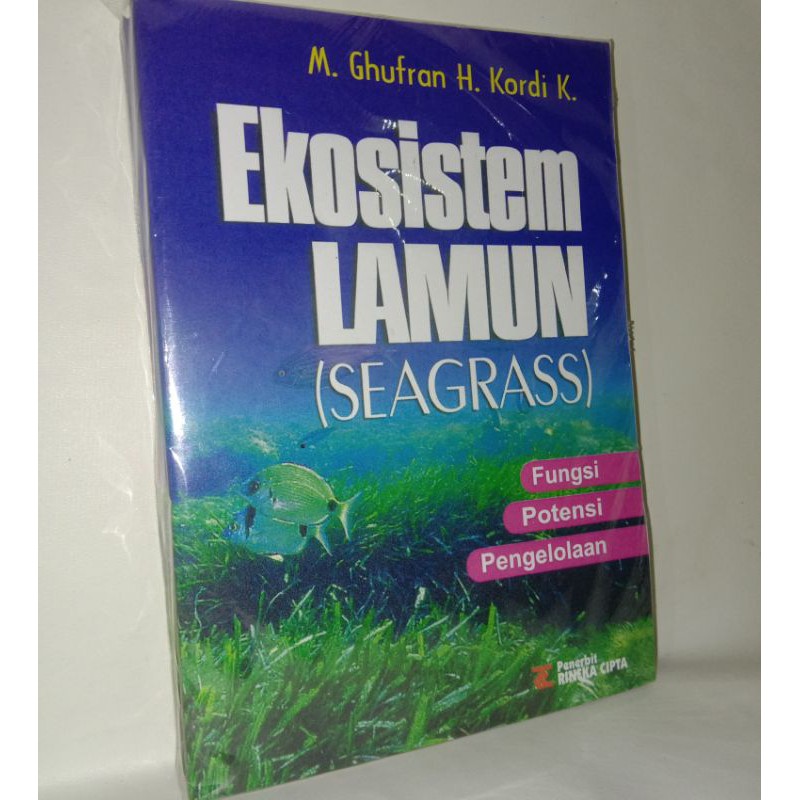 ekosistem lamun seagrass fungsi potensi pengelolaan