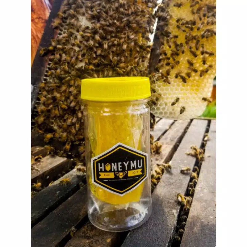 

SARANG MADU BY HONEYMU MADU MURNI 100GRASLI BANJARMASIN