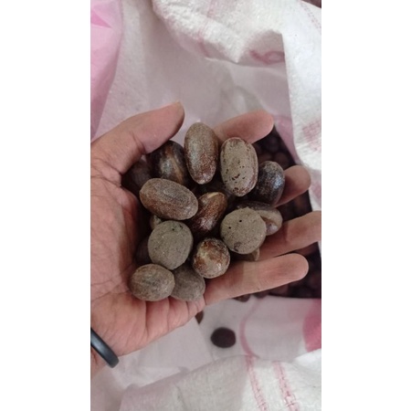 

Pala bumbu rempah masak