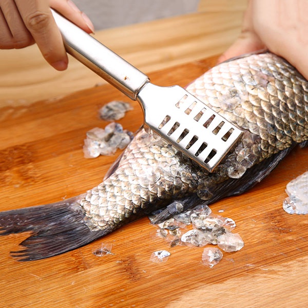 Alat Pembersih Sisik Ikan Stainless Steel / Pengerok Pengeruk Sisik Kulit Ikan Anti Karat Bahan Besi TV-47