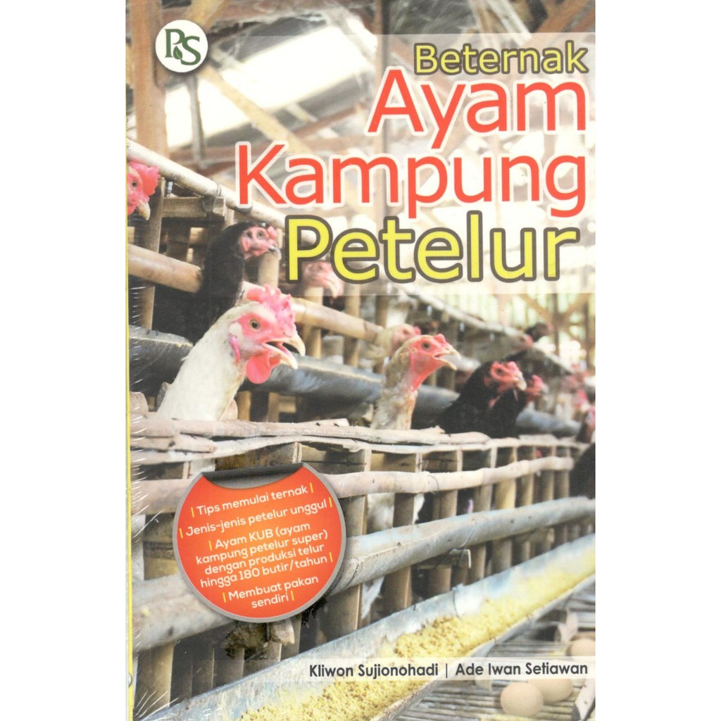 budidaya ayam jawa petelur