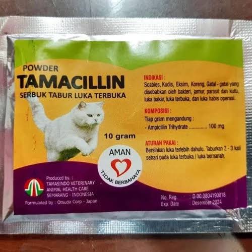 Obat Kucing Luka Terbuka 1nfeksi Bernanah Tamacillin