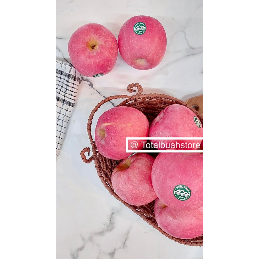 

TBS.ID-APEL FUJI WANGSAN JUMBO -+700gr