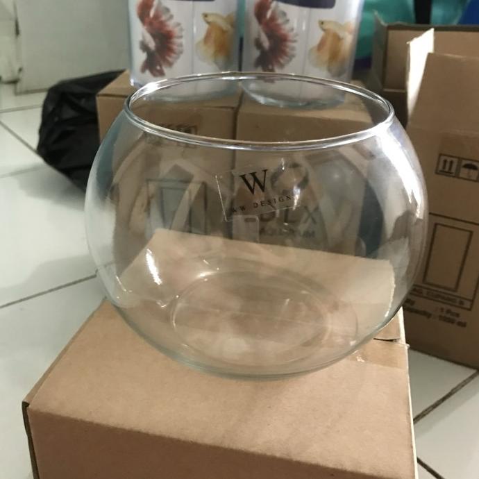 vas bunga bulat kaca bening 2 liter pot bunga kaca bulat lucu cylinder