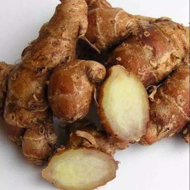 

Kencur segar 200 gram