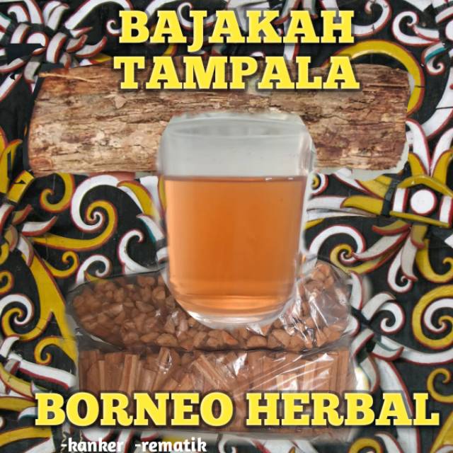 

Bajakah tampala batangan basah 1kg bisa COD