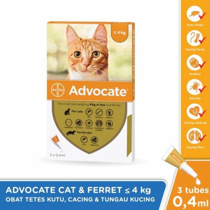 ADVOCATE KITTEN KUCING SMALL CAT - Obat Tetes Kutu Kucing Berat Badan Sampai 4kg