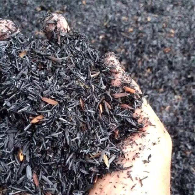 Sekam bakar karungan