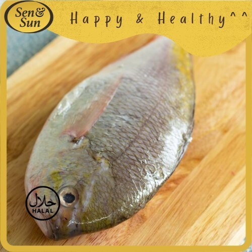 

Sen&Sun Ikan Ekor Kuning 300 gr