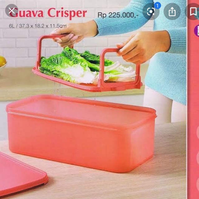 Guava Crisper tupperware