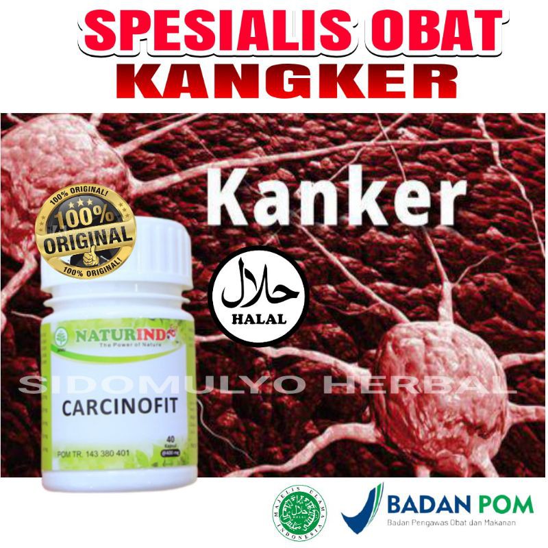 obat kanker payudara kanker otak tanpa operasi CARCINOFIT naturindo