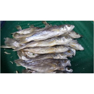  Ikan gulama  samge asin 500 gram Shopee Indonesia